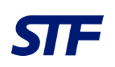 Logo STF empresas MAT Holding