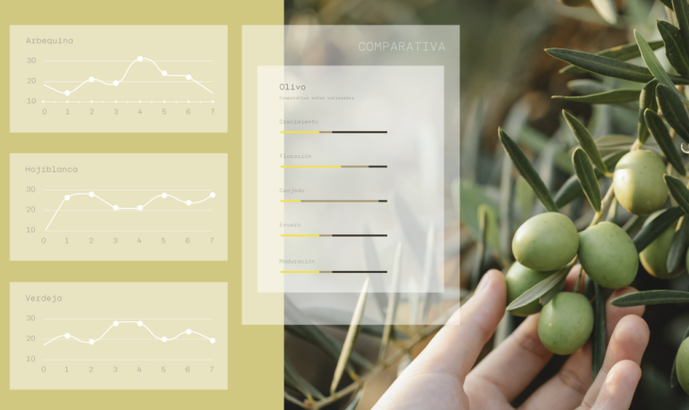 Integrated digital crop and farming management - MatHolding